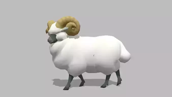 Sheep - Animated