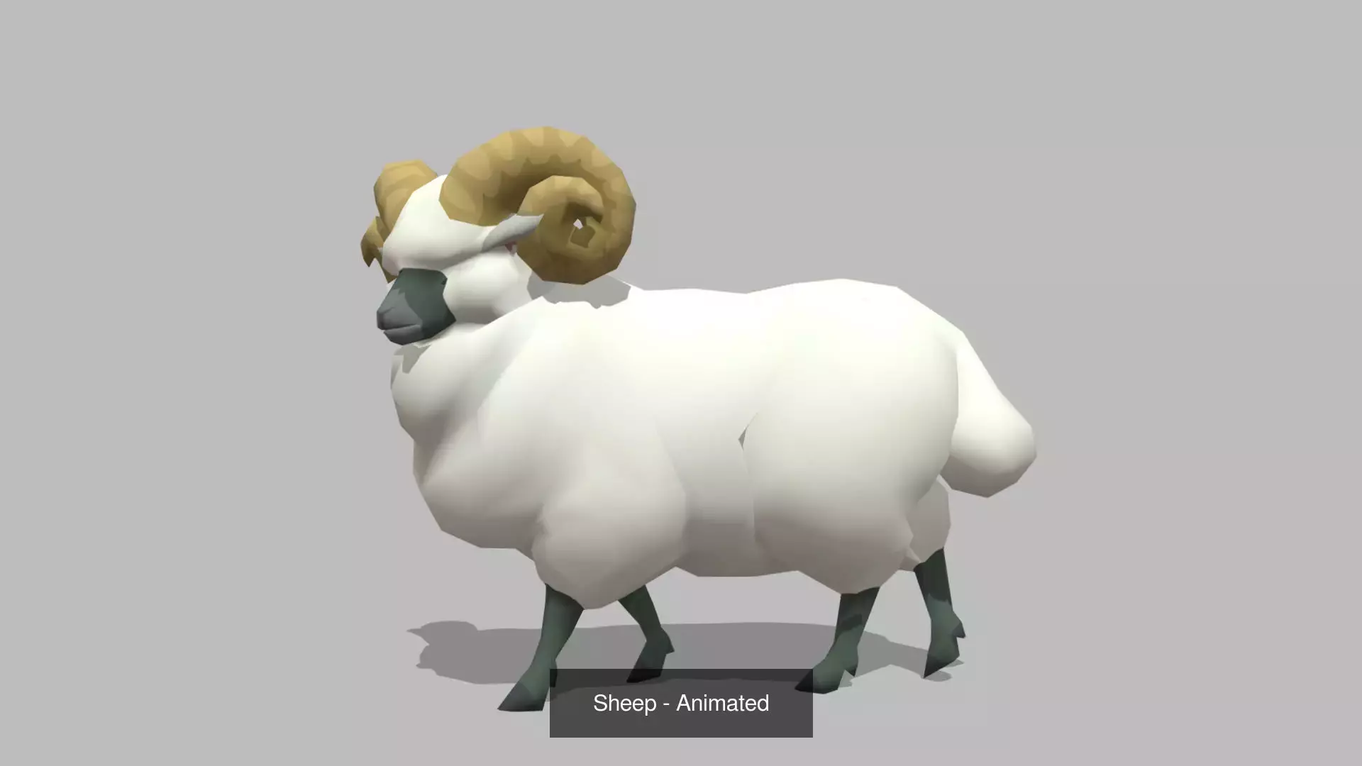 ULTIMATE 3D BUNDLE - ALL 3D MODELS - ANIMATIONS  3D Model Collection_14