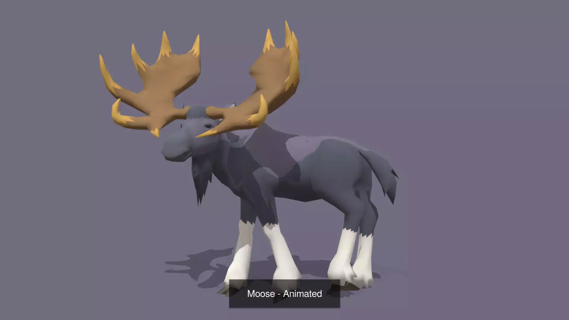 ULTIMATE 3D BUNDLE - ALL 3D MODELS - ANIMATIONS  3D Model Collection_13