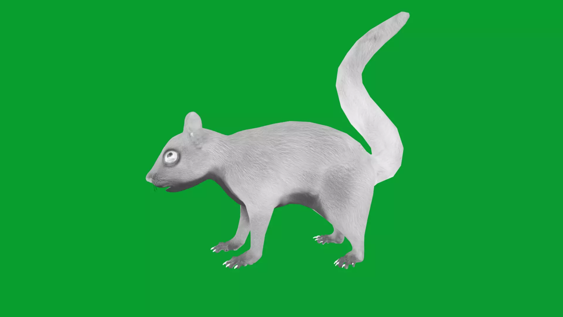 Eurasian Red Squirrel Low-poly 3D model_20