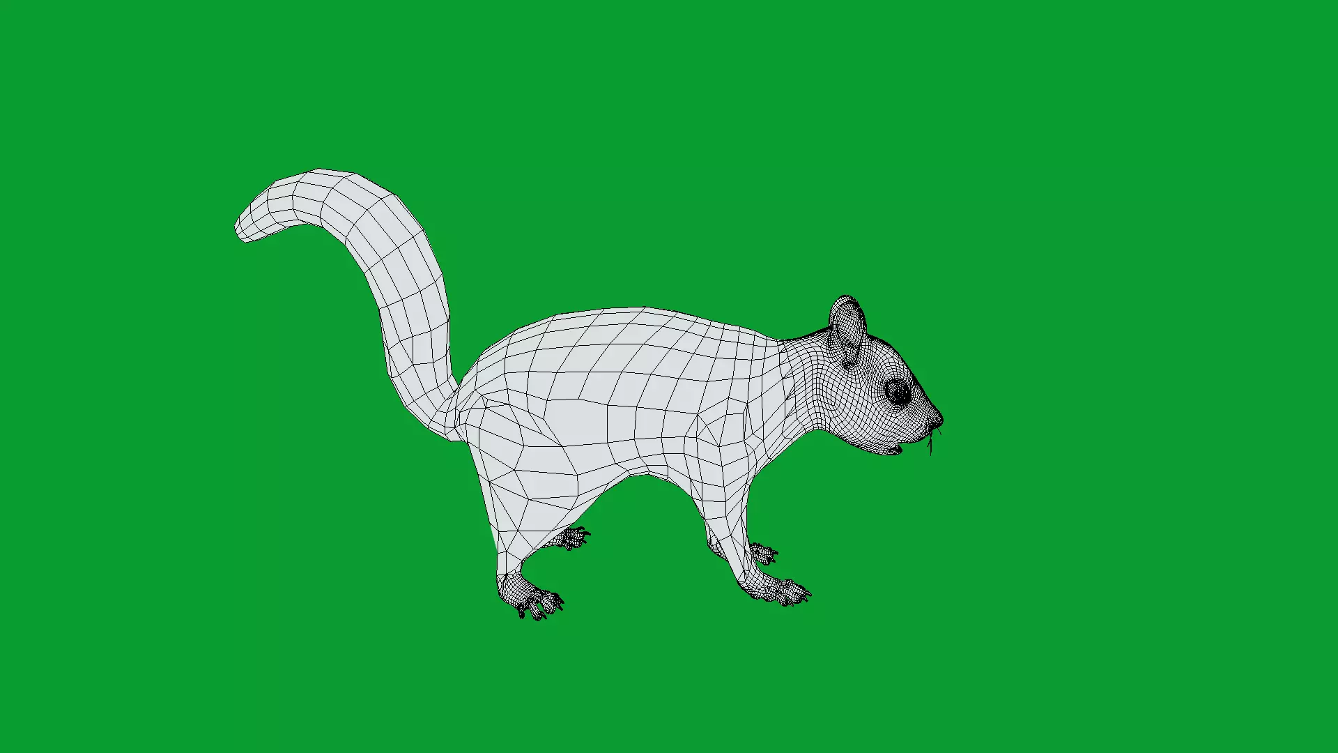 Eurasian Red Squirrel Low-poly 3D model_30