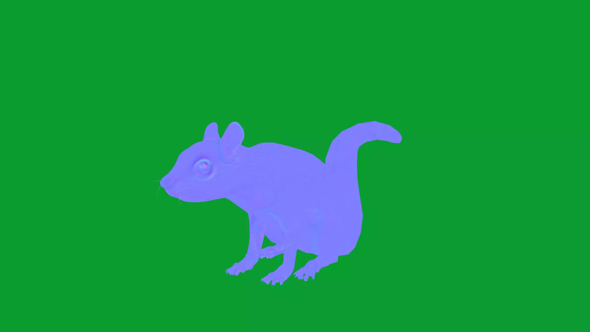 Eurasian Red Squirrel Low-poly 3D model_22