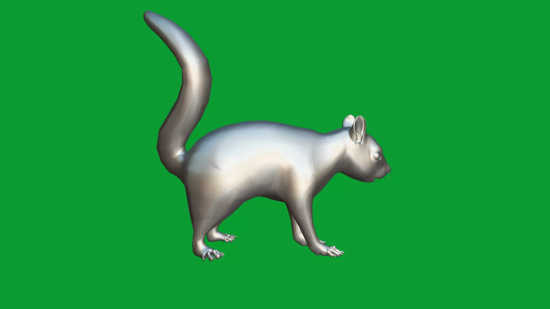 Eurasian Red Squirrel Low-poly 3D model_29