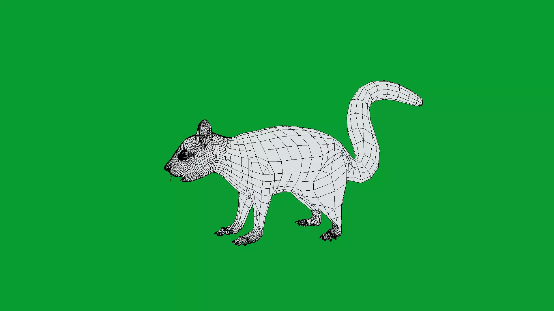 Eurasian Red Squirrel Low-poly 3D model_26