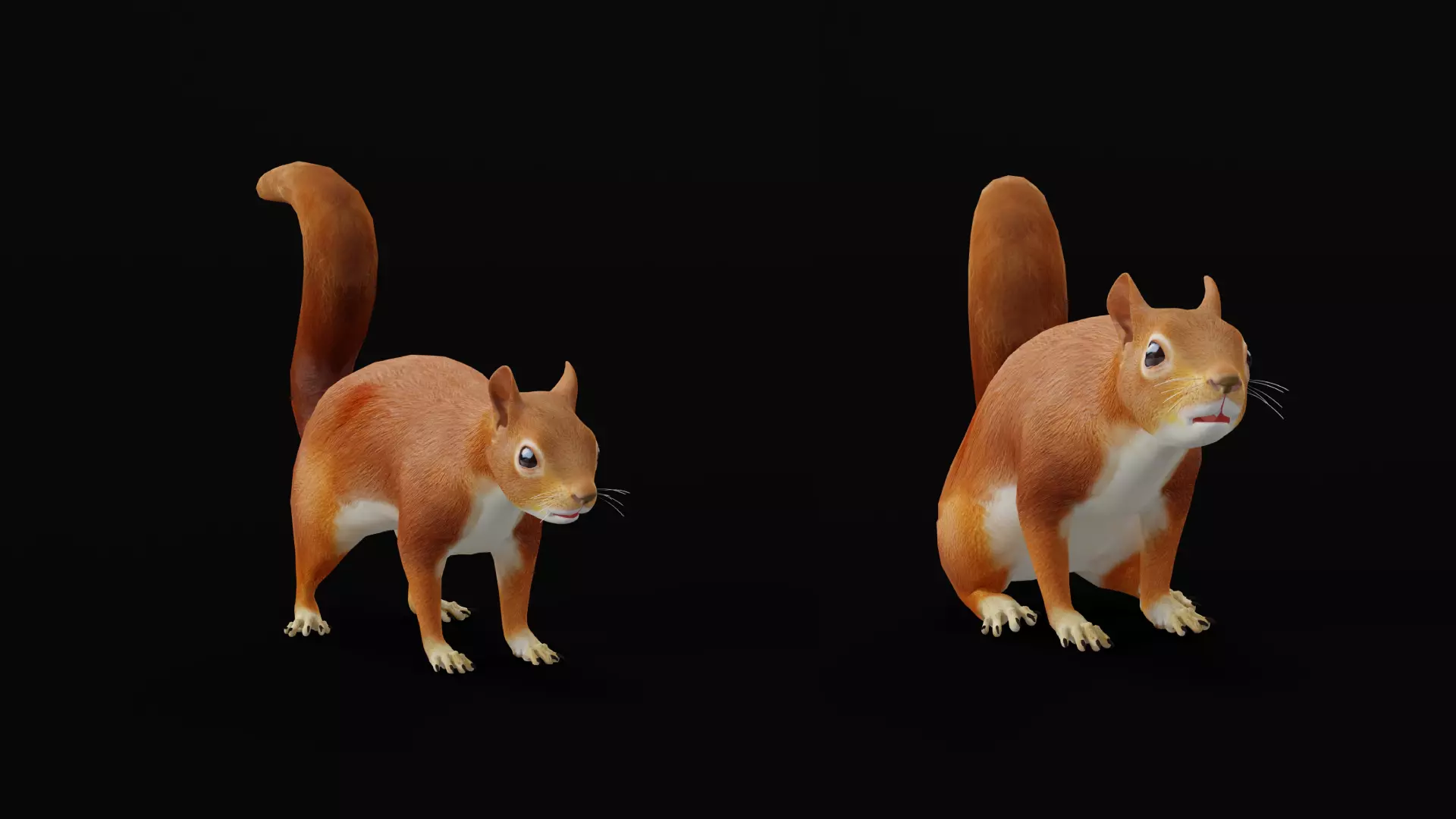 Eurasian Red Squirrel Low-poly 3D model_15