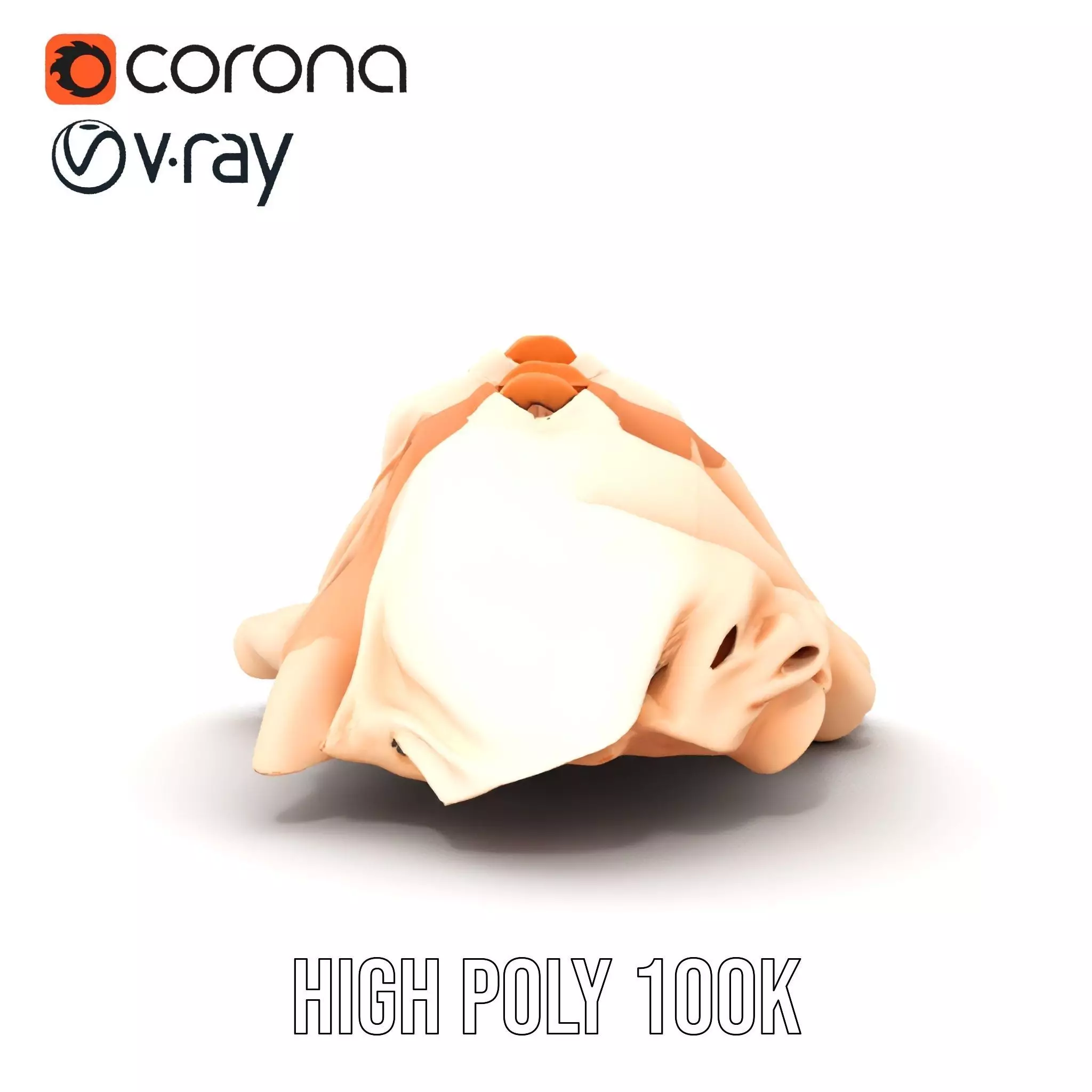 Elegant Beige Shirts model pack Low-poly 3D model_24