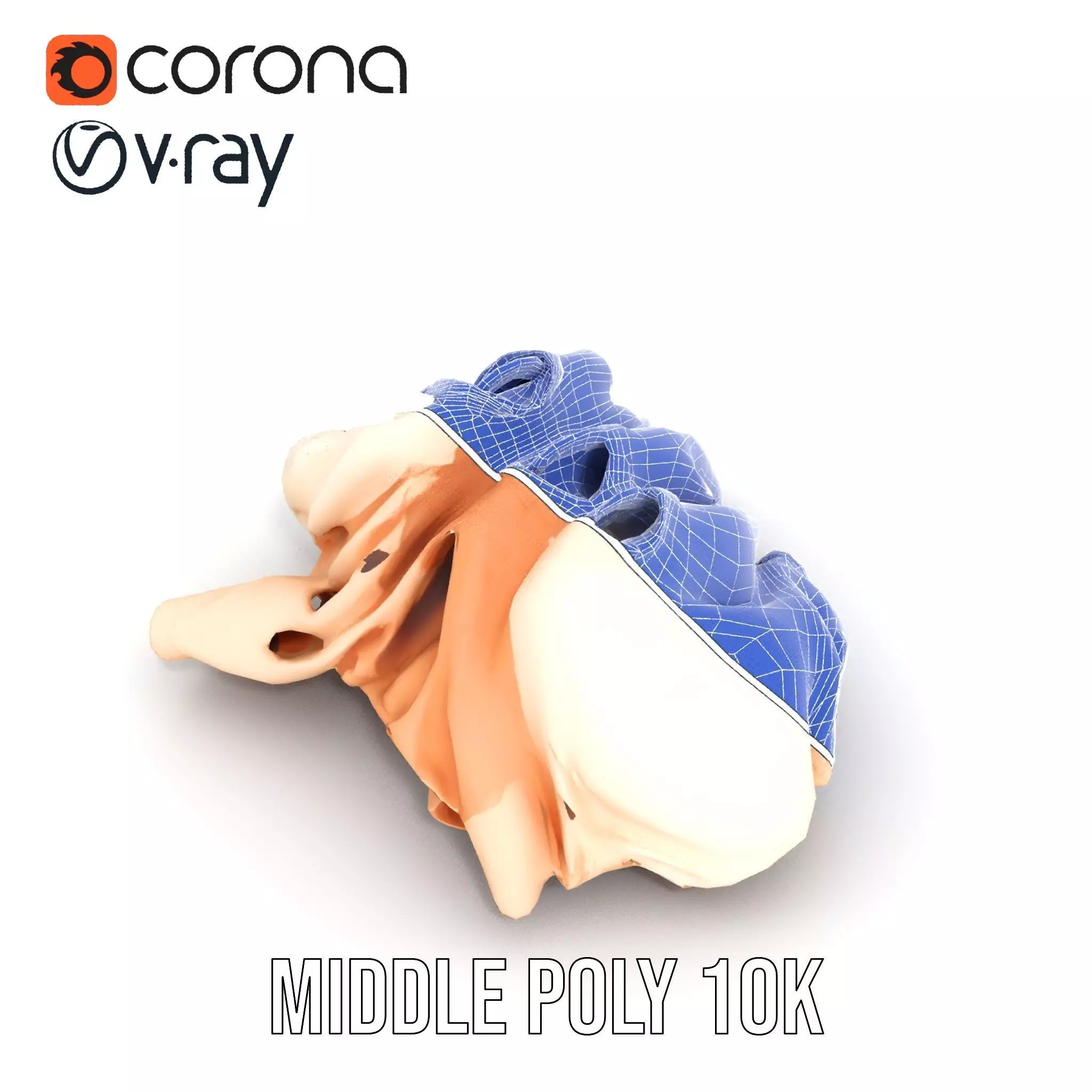 Elegant Beige Shirts model pack Low-poly 3D model_16