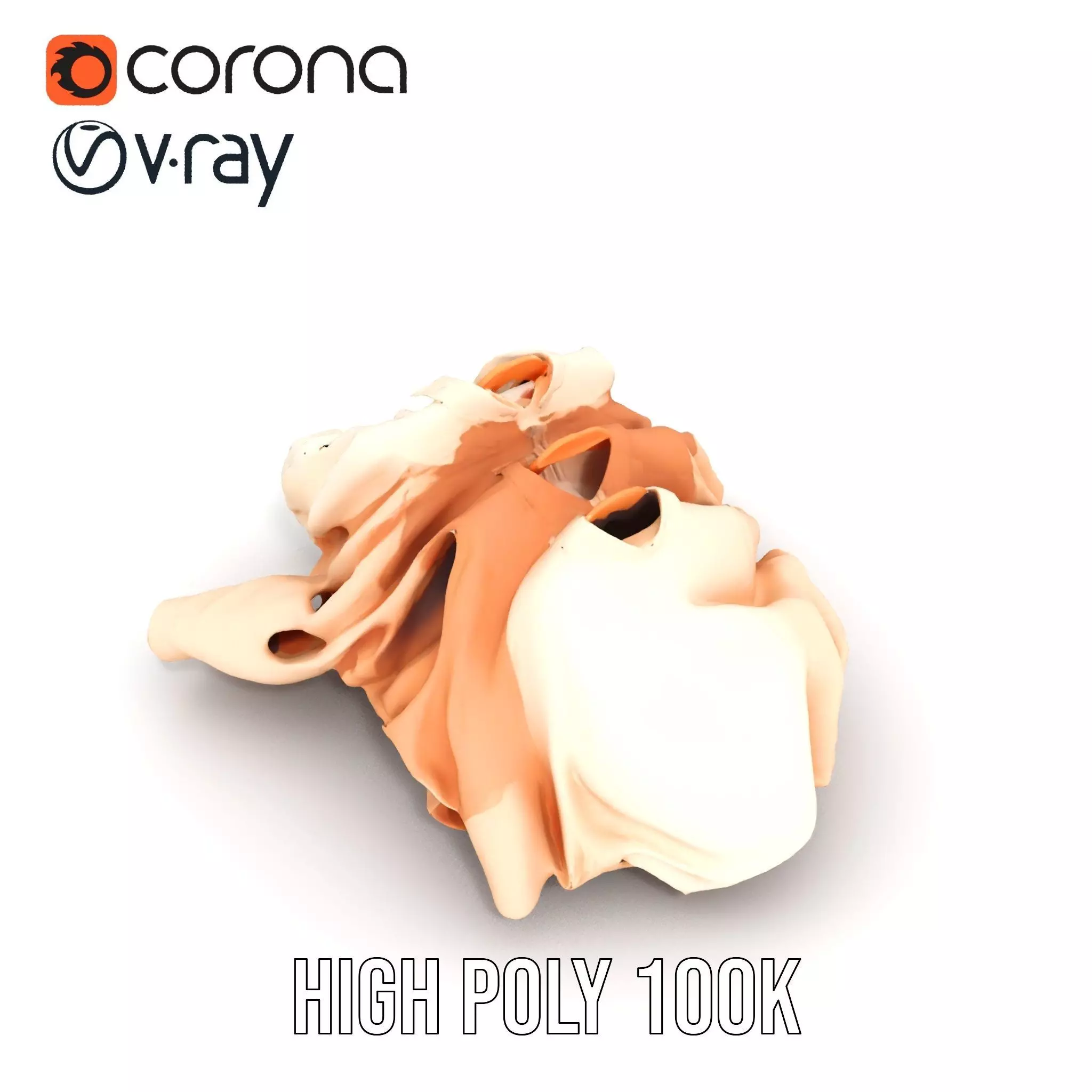 Elegant Beige Shirts model pack Low-poly 3D model_18