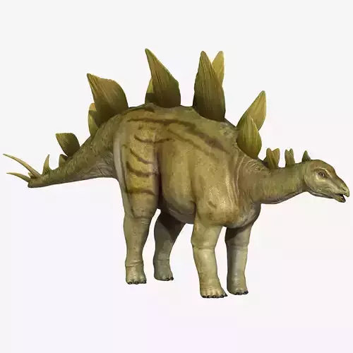 Stegosaurus dinosaur