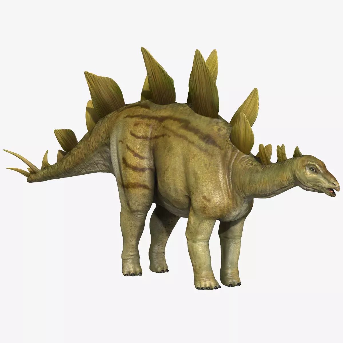 Stegosaurus dinosaur Low-poly 3D model_0