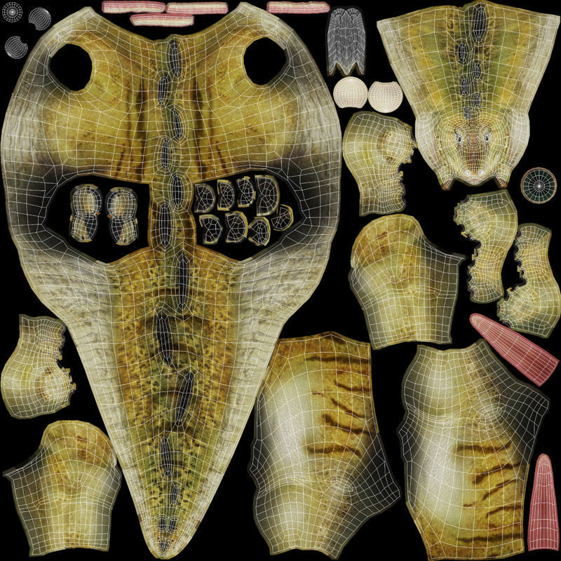Stegosaurus dinosaur Low-poly 3D model_13