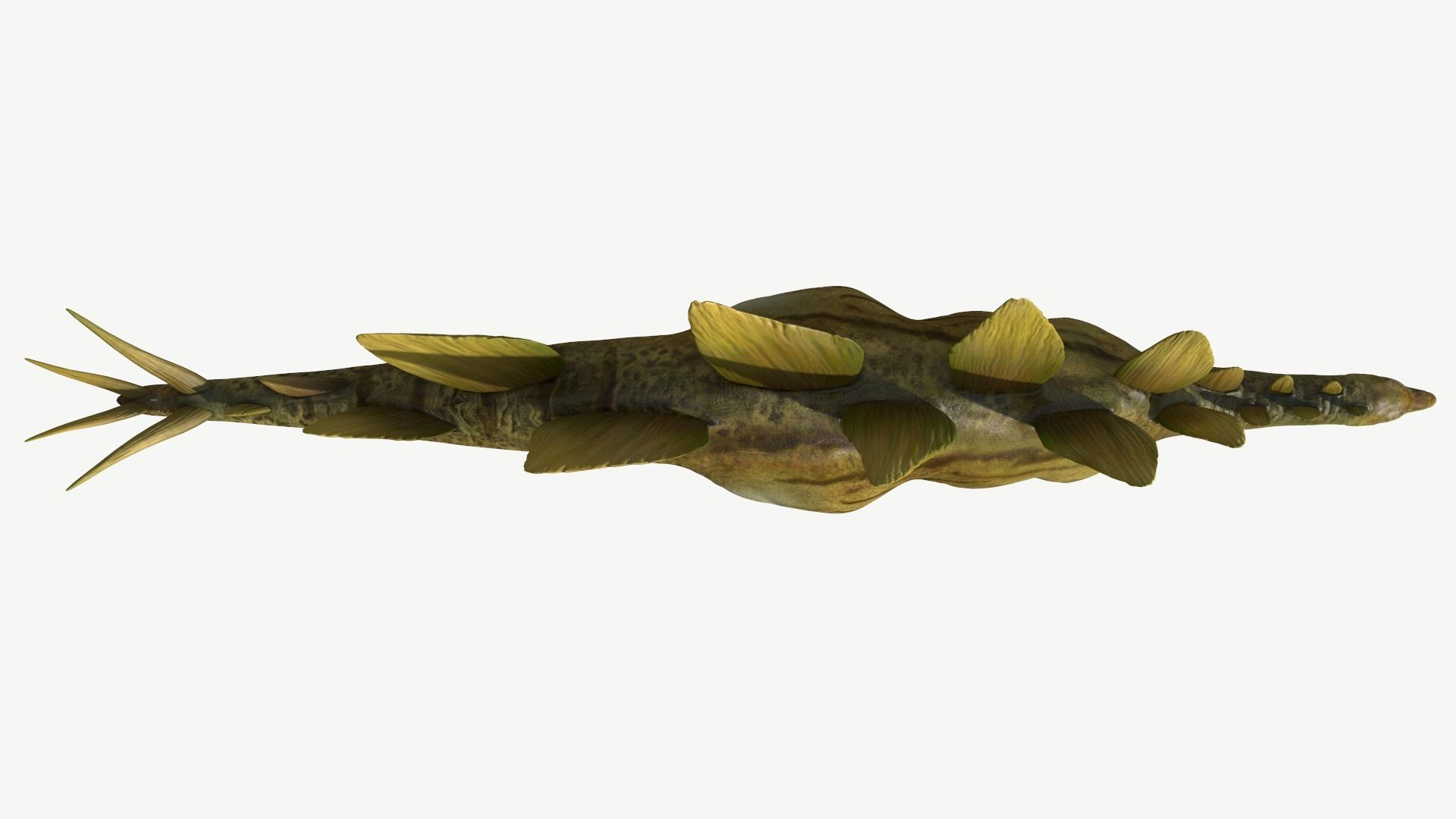 Stegosaurus dinosaur Low-poly 3D model_7