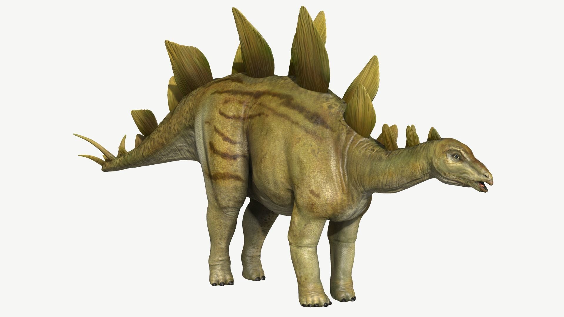 Stegosaurus dinosaur Low-poly 3D model_1
