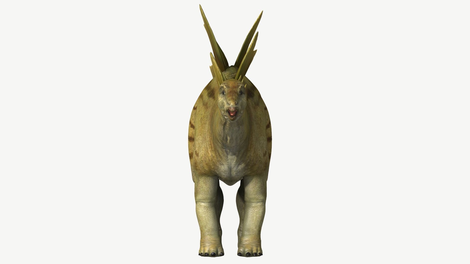 Stegosaurus dinosaur Low-poly 3D model_9