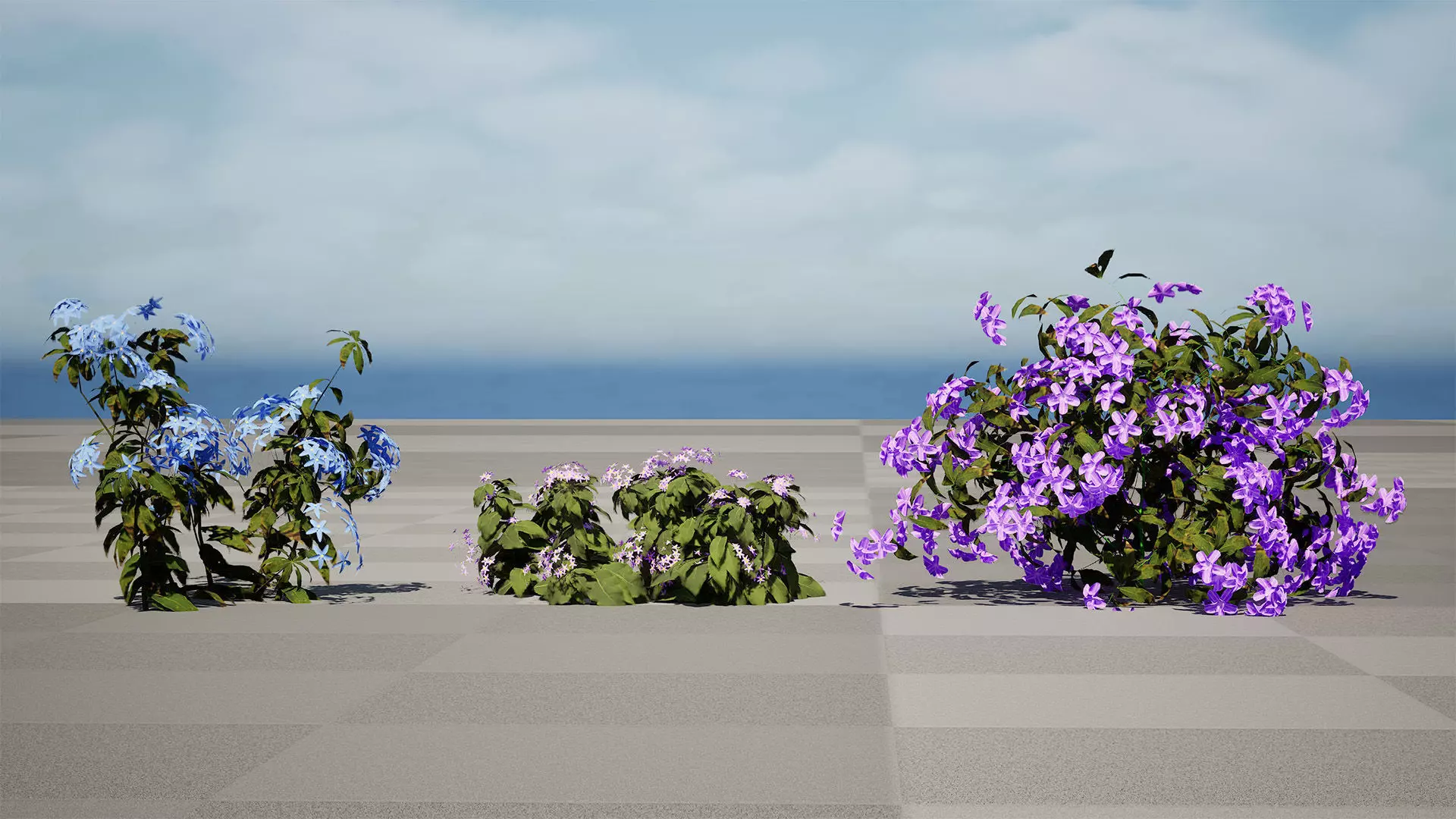 British Forget Me Not Myosotis 3D model Low-poly 3D model_2