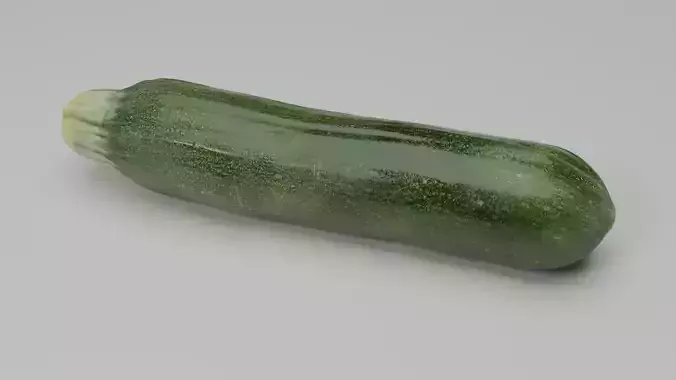 Zuchini 3D model