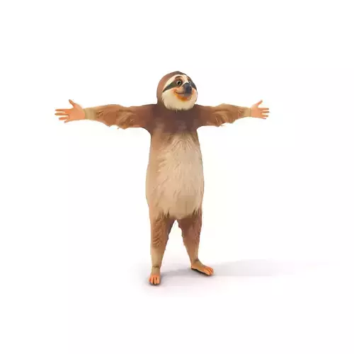 Charming Sloth Character model pack