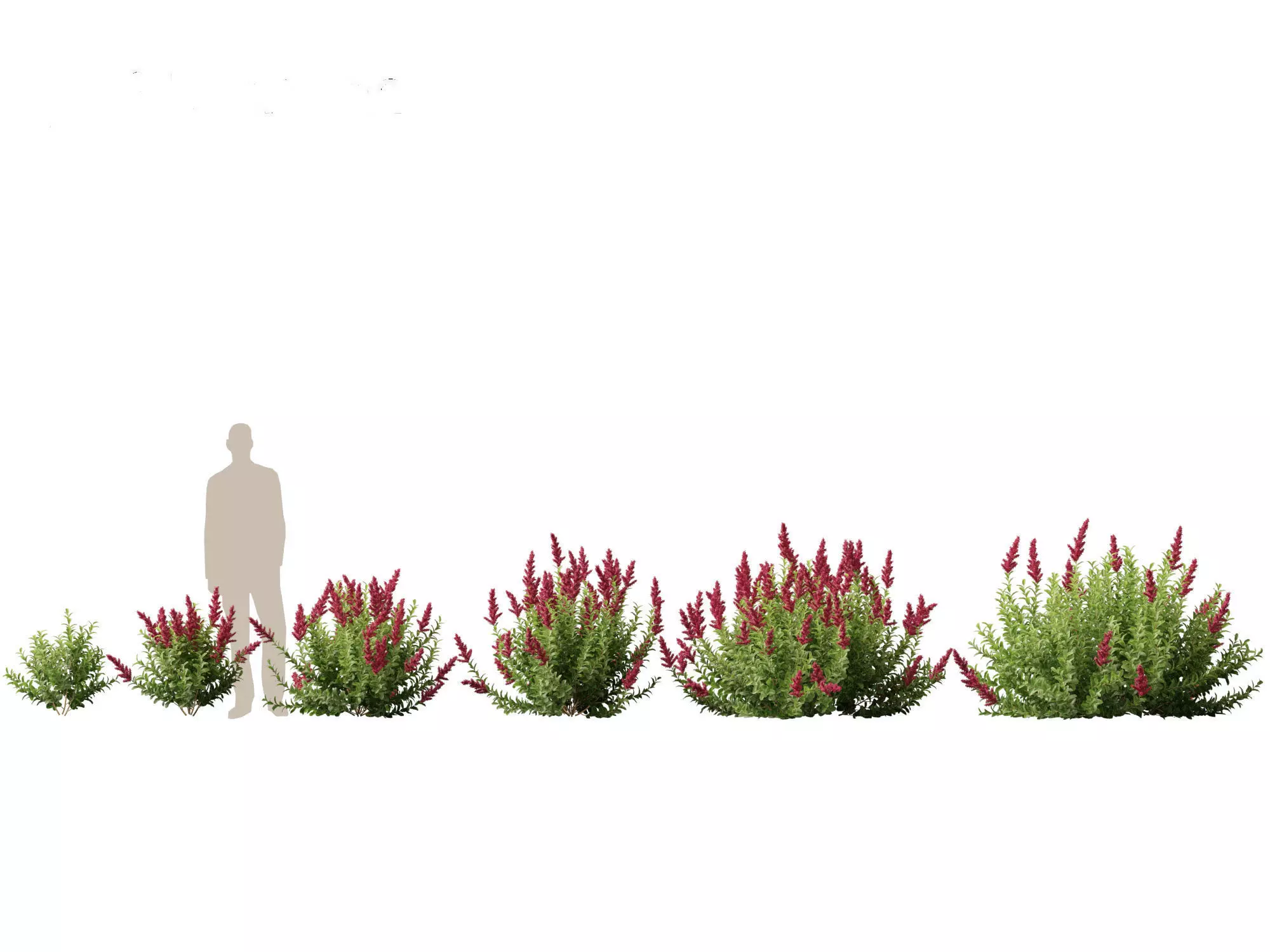 Backyard Garden Essentials Pack 18 3D model_17