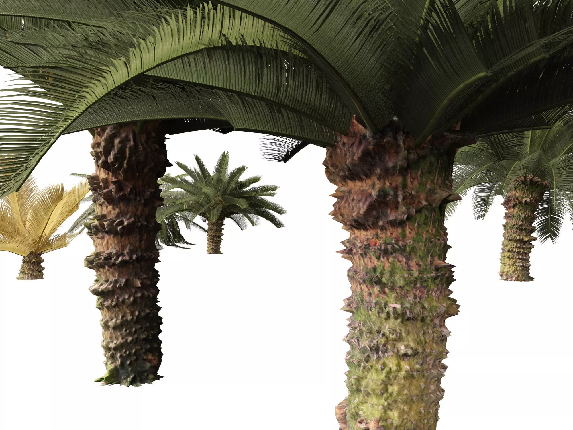 Backyard Garden Essentials Pack 18 3D model_7