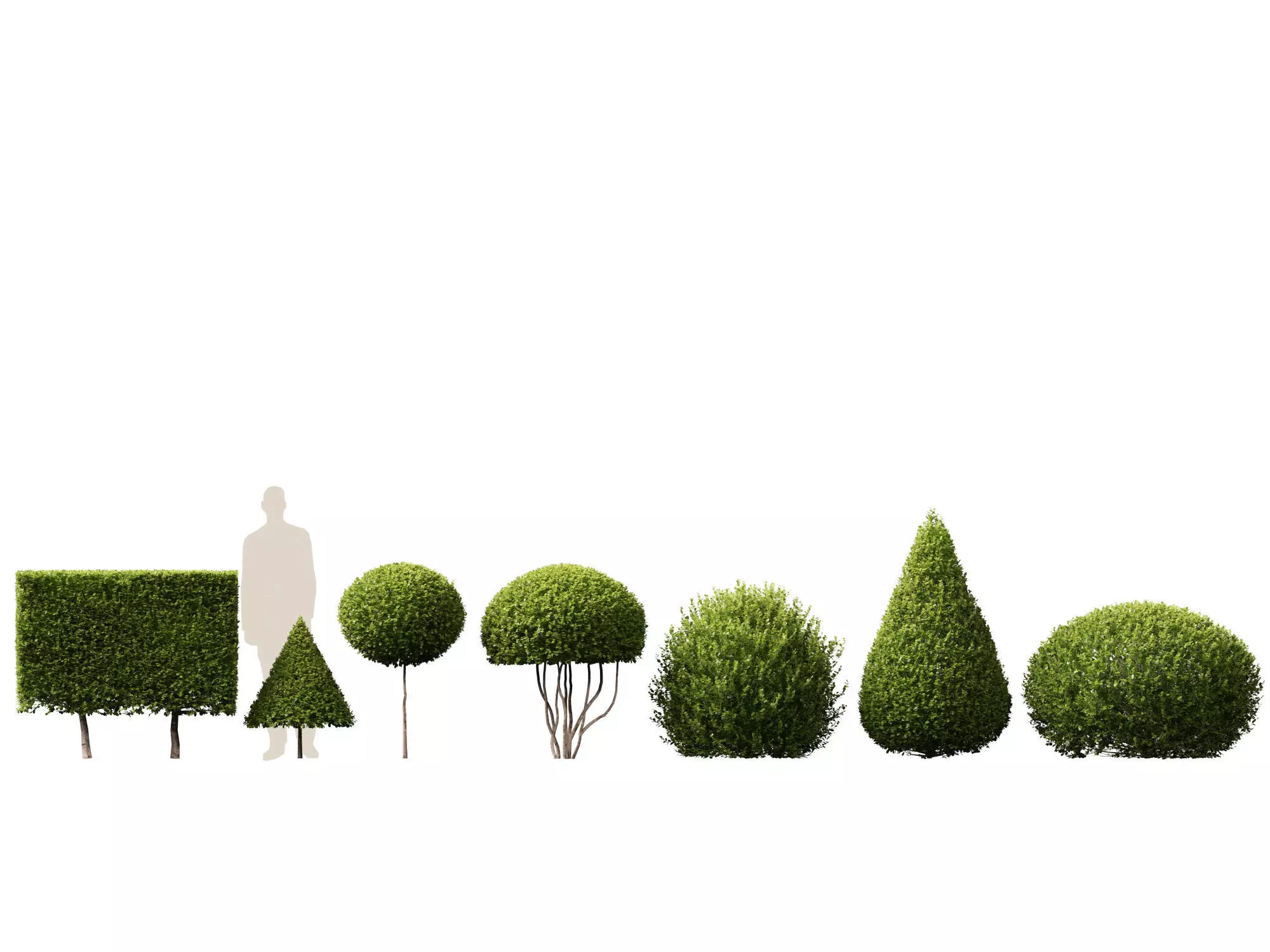 Backyard Garden Essentials Pack 18 3D model_1