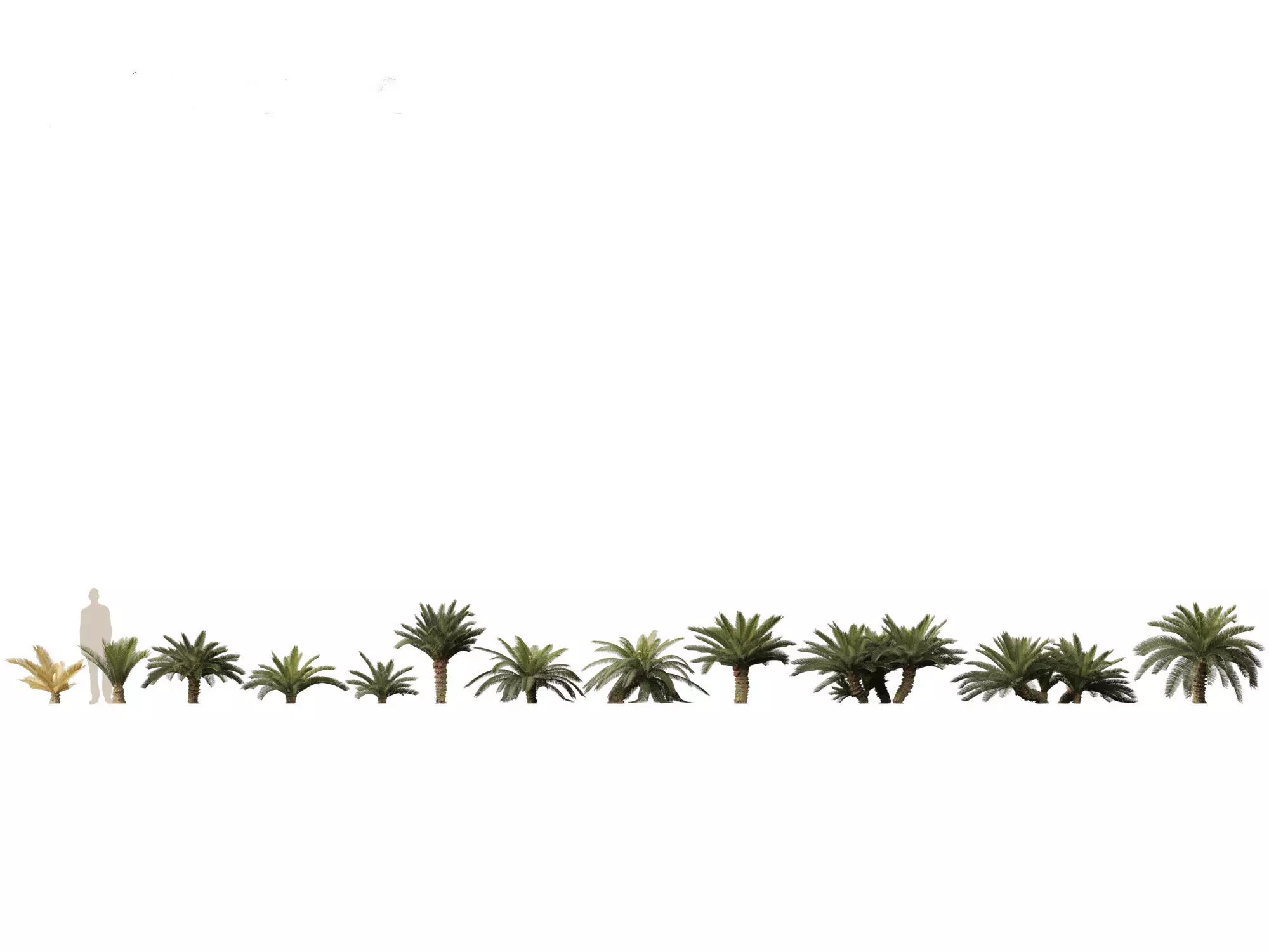 Backyard Garden Essentials Pack 18 3D model_6