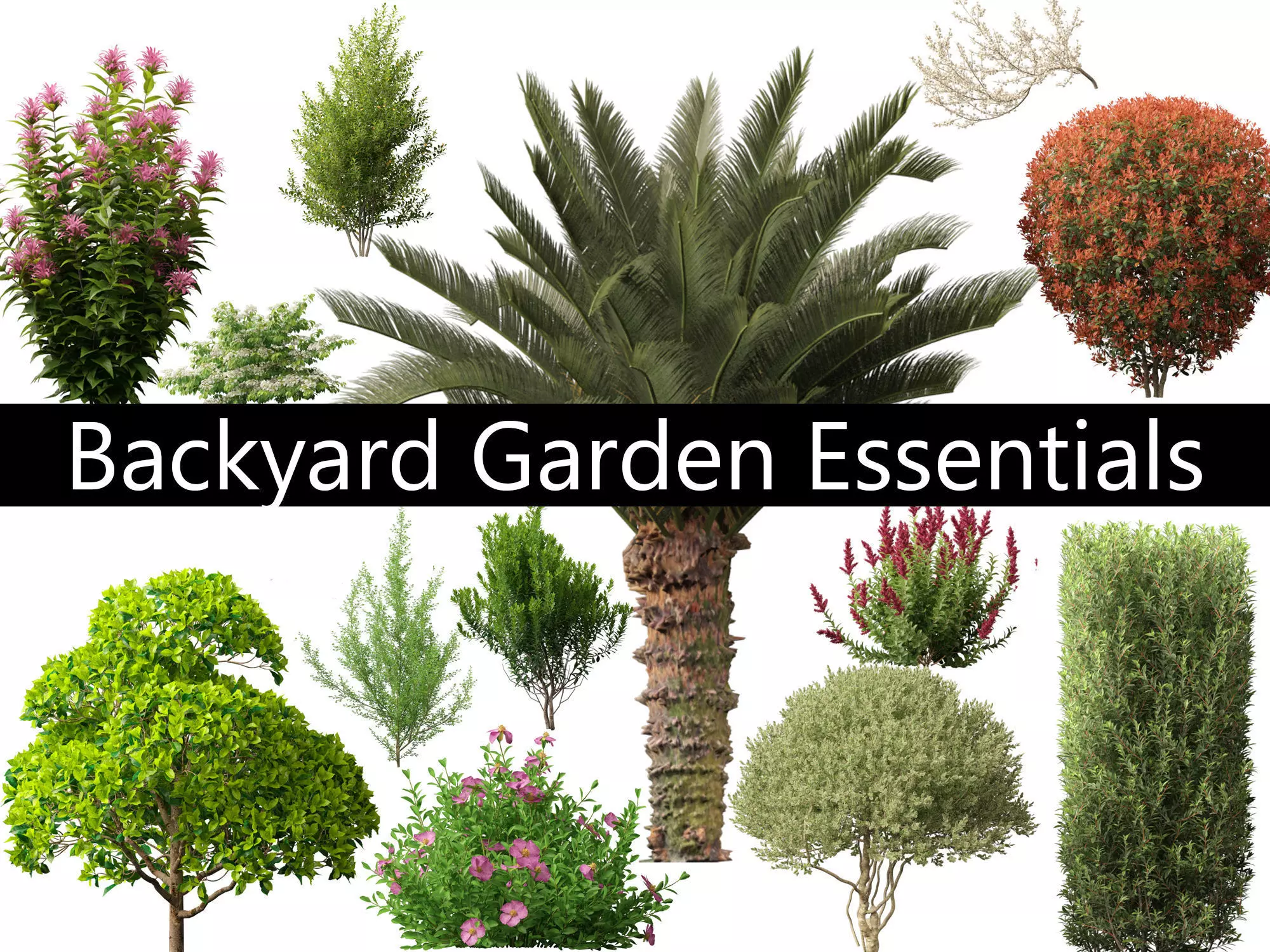 Backyard Garden Essentials Pack 18 3D model_0
