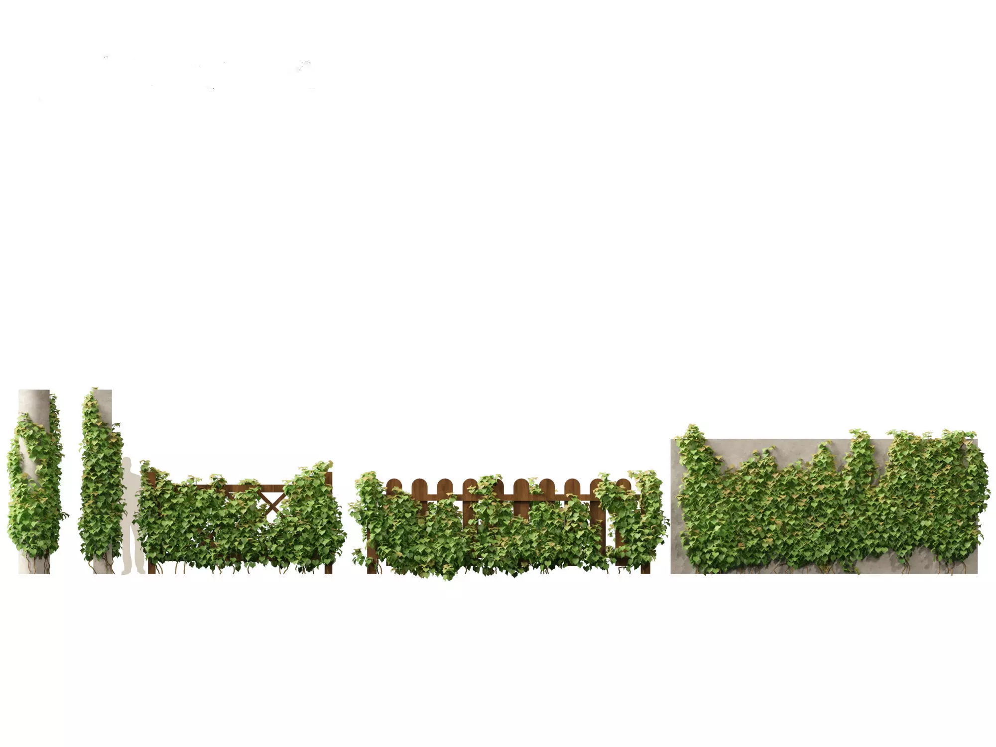 Backyard Garden Essentials Pack 18 3D model_21