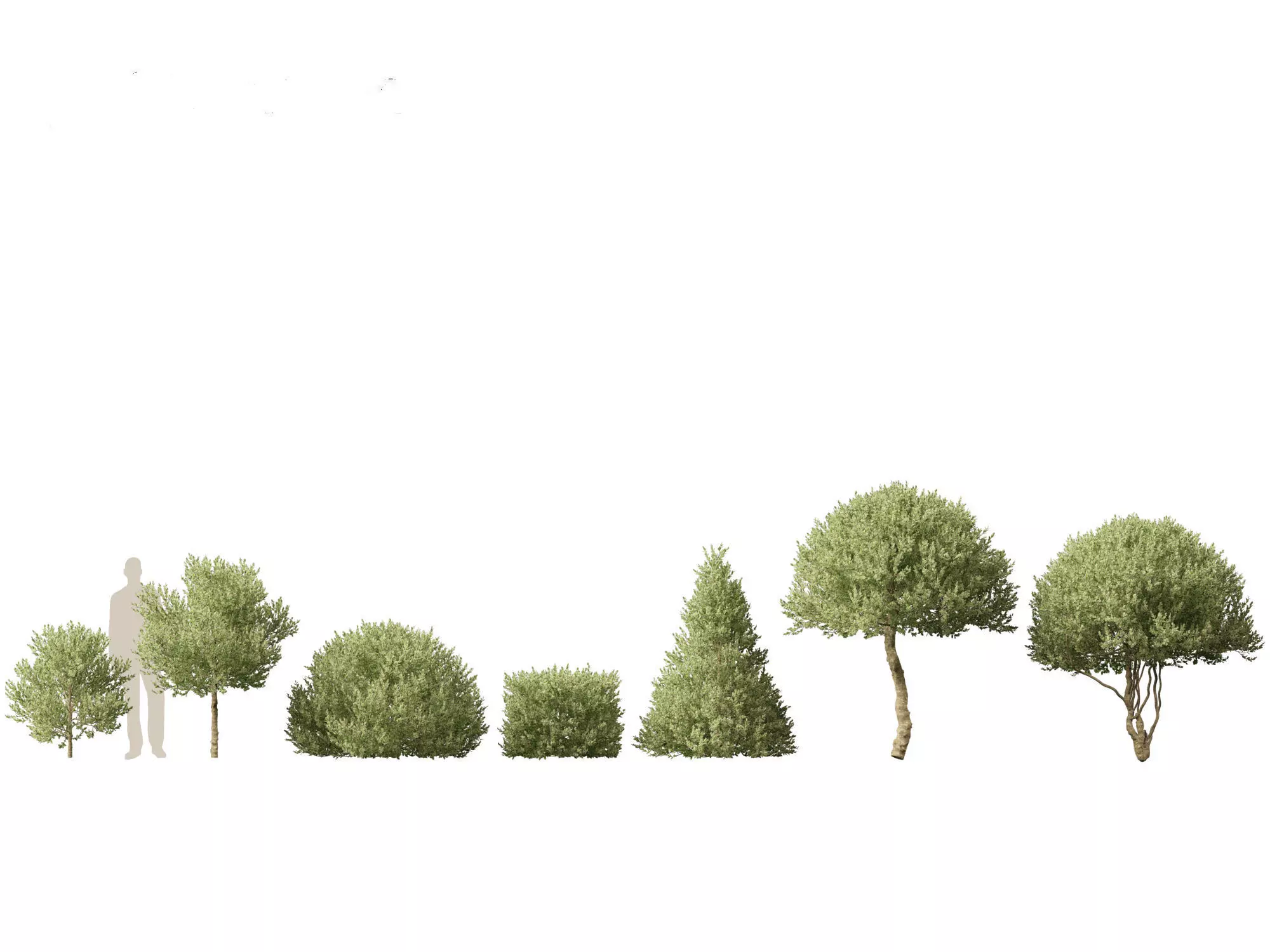 Backyard Garden Essentials Pack 18 3D model_9