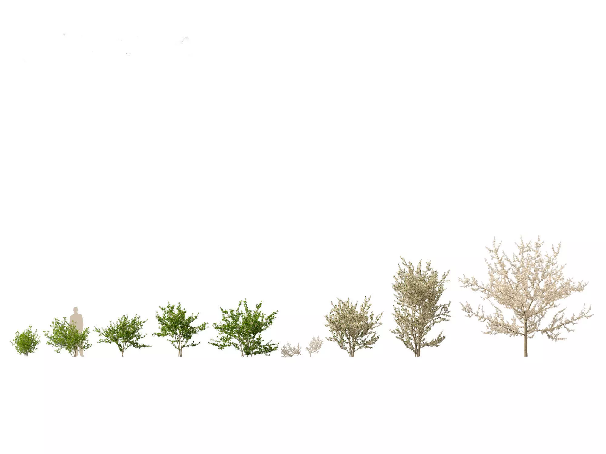 Backyard Garden Essentials Pack 18 3D model_15