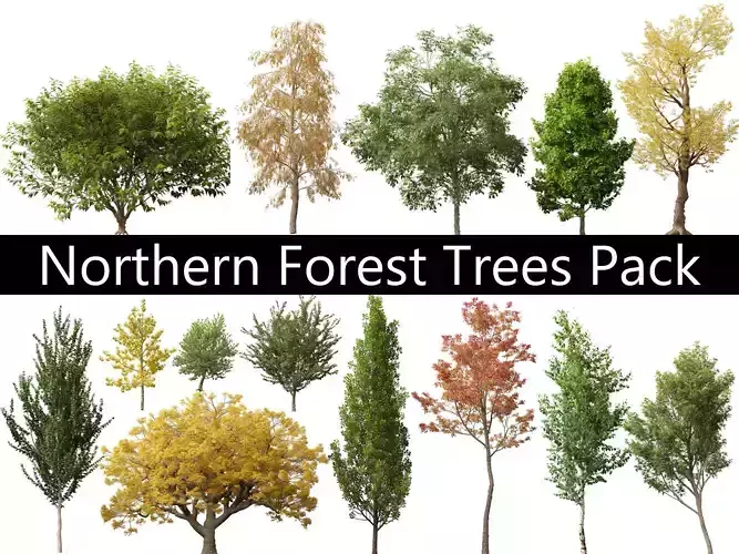Northern Forest Trees Pack 19