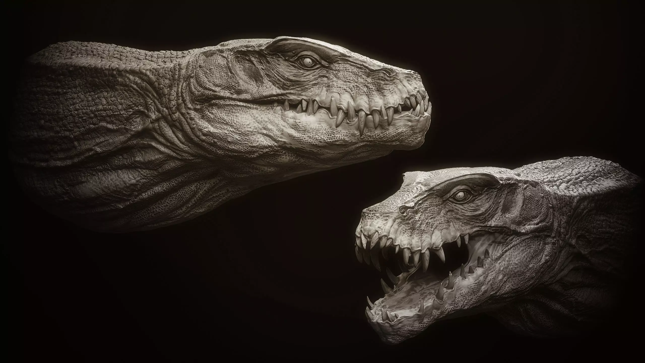 Dragon Heads Volume 2 3D model_6
