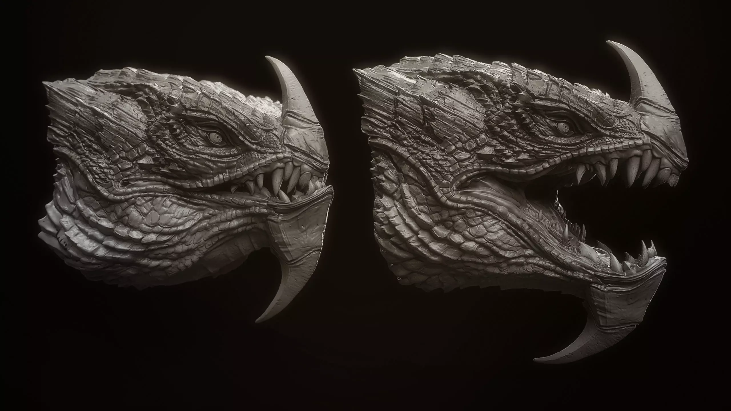 Dragon Heads Volume 2 3D model_4