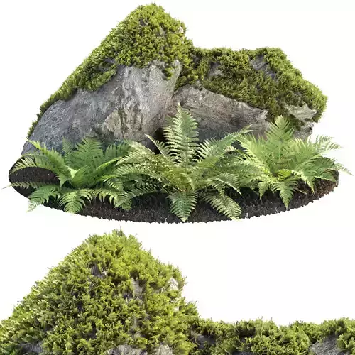 Garden Assets Vol 309