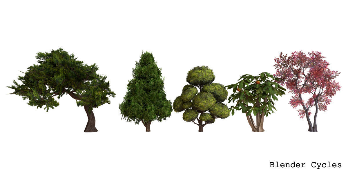 Garden Tree Low-poly 3D model_1