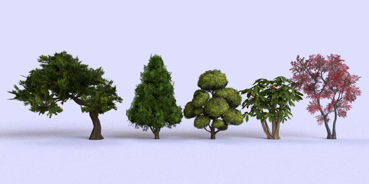 Garden Tree Low-poly 3D model_0
