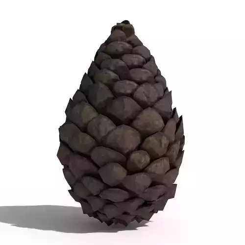Pine Cone Closed
