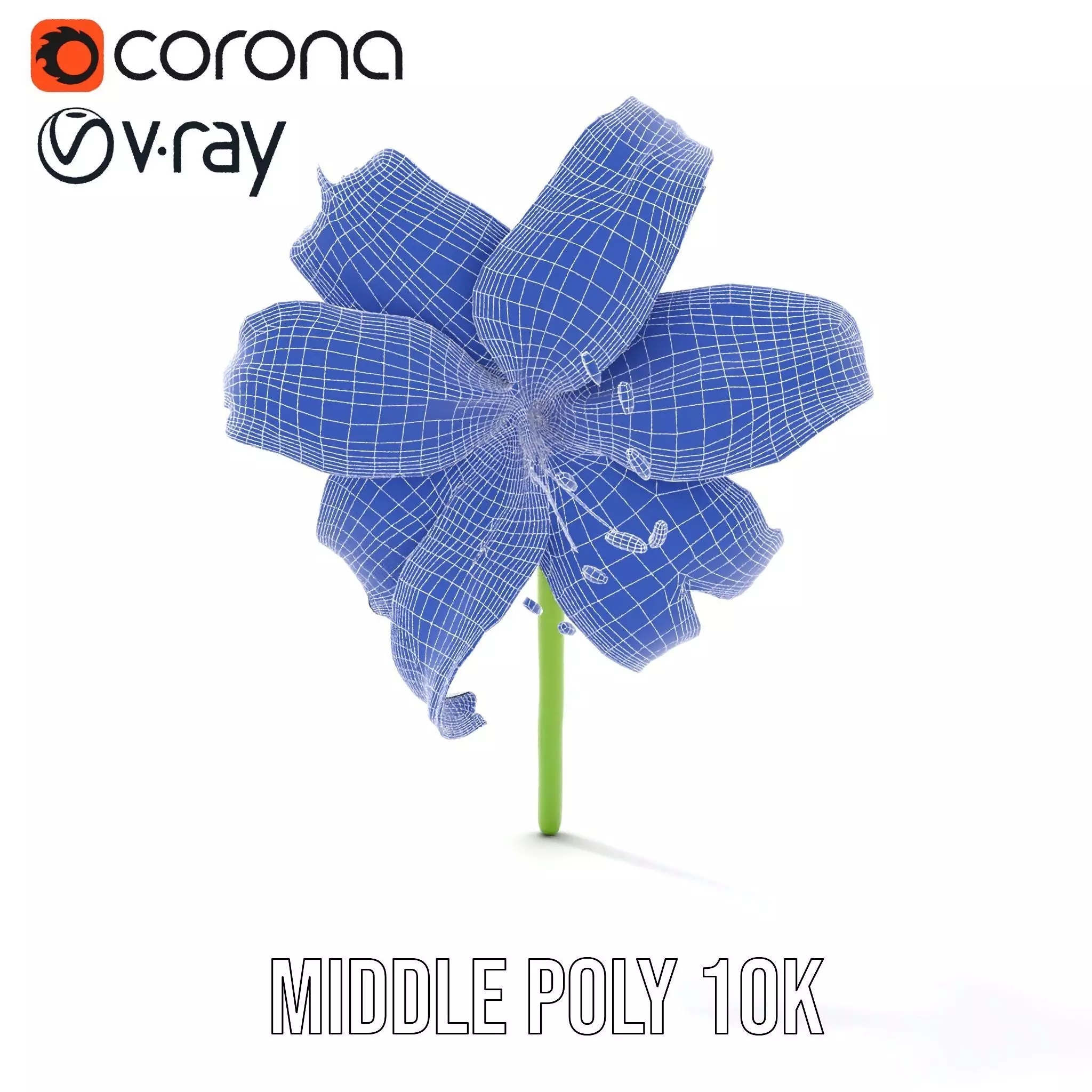 Elegant White Lily model pack Low-poly 3D model_28