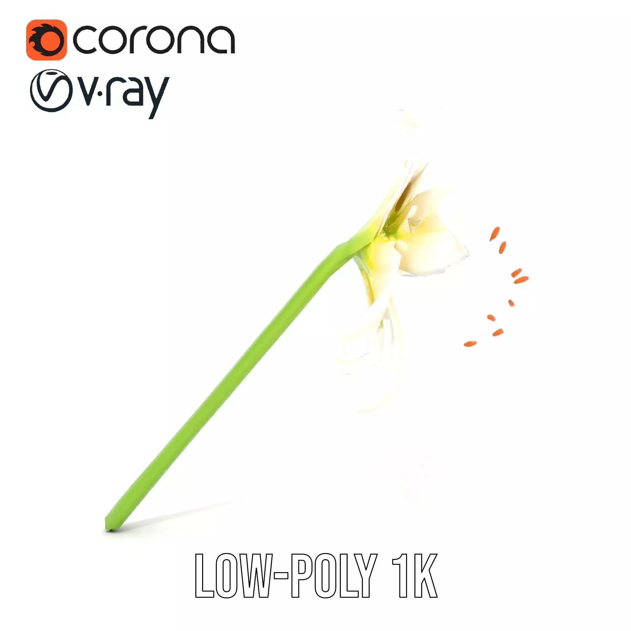 Elegant White Lily model pack Low-poly 3D model_10