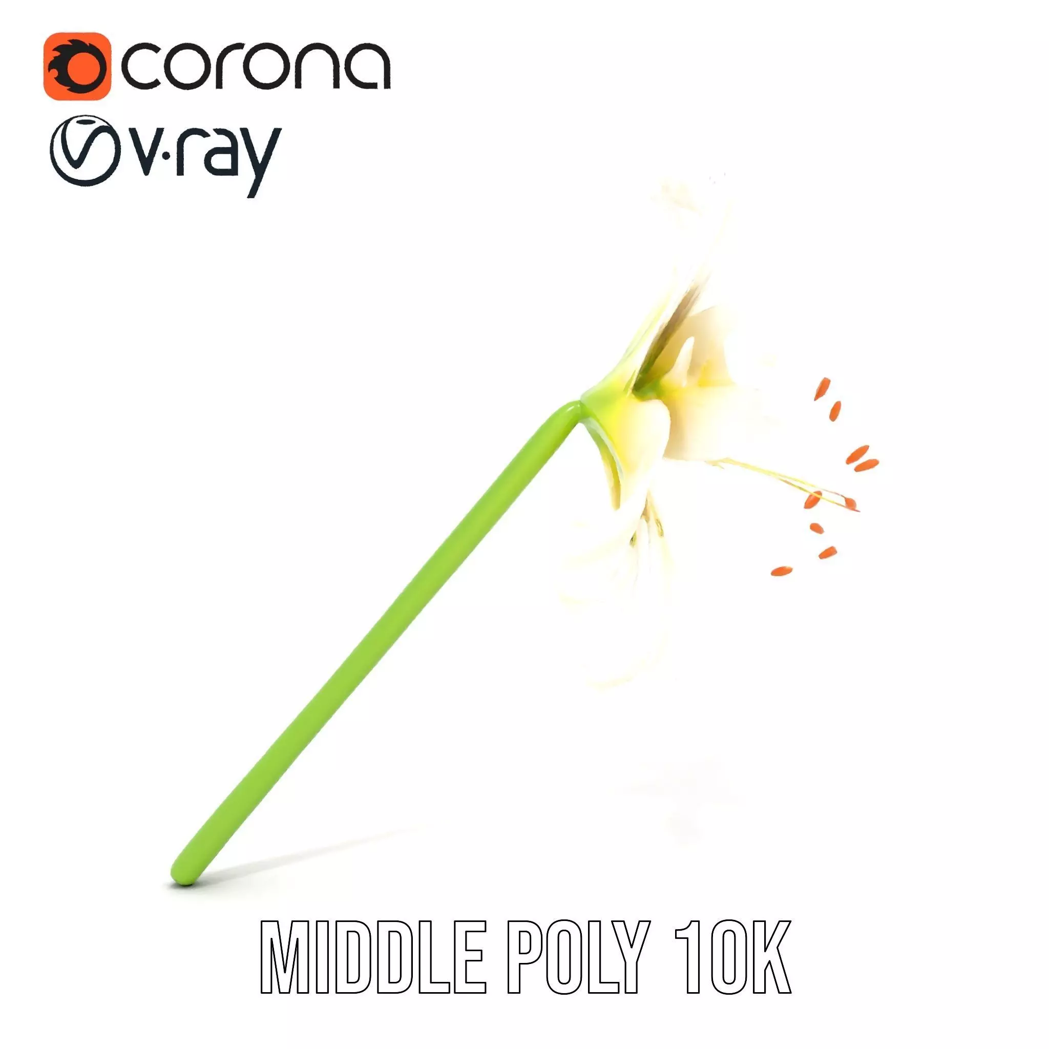 Elegant White Lily model pack Low-poly 3D model_15