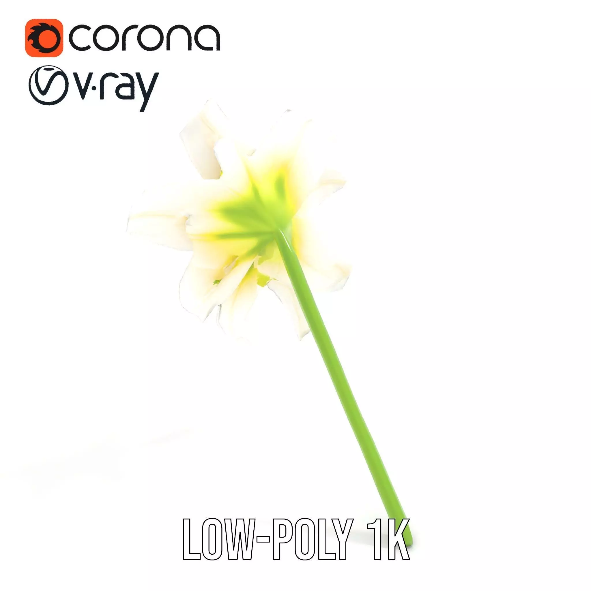 Elegant White Lily model pack Low-poly 3D model_13