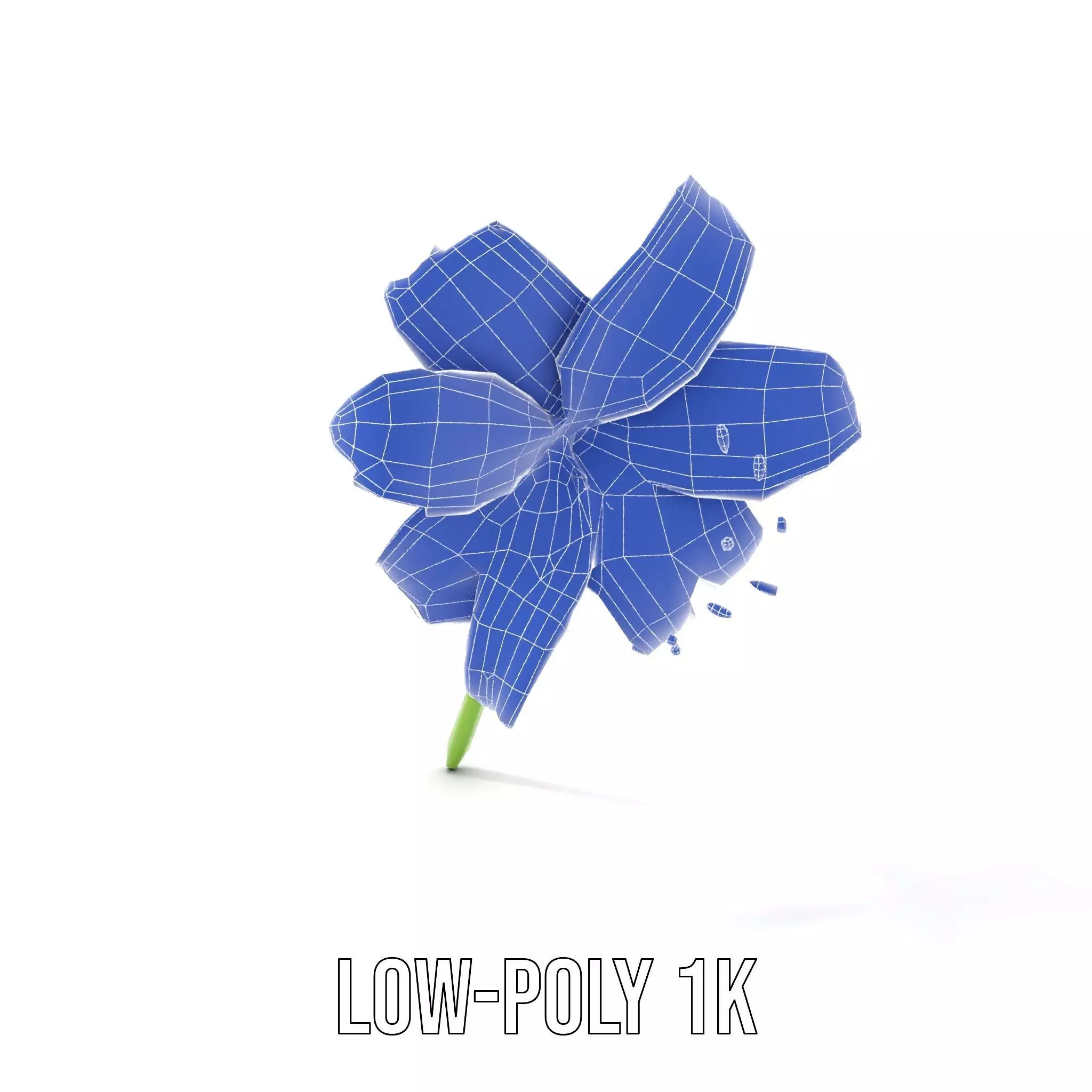 Elegant White Lily model pack Low-poly 3D model_29