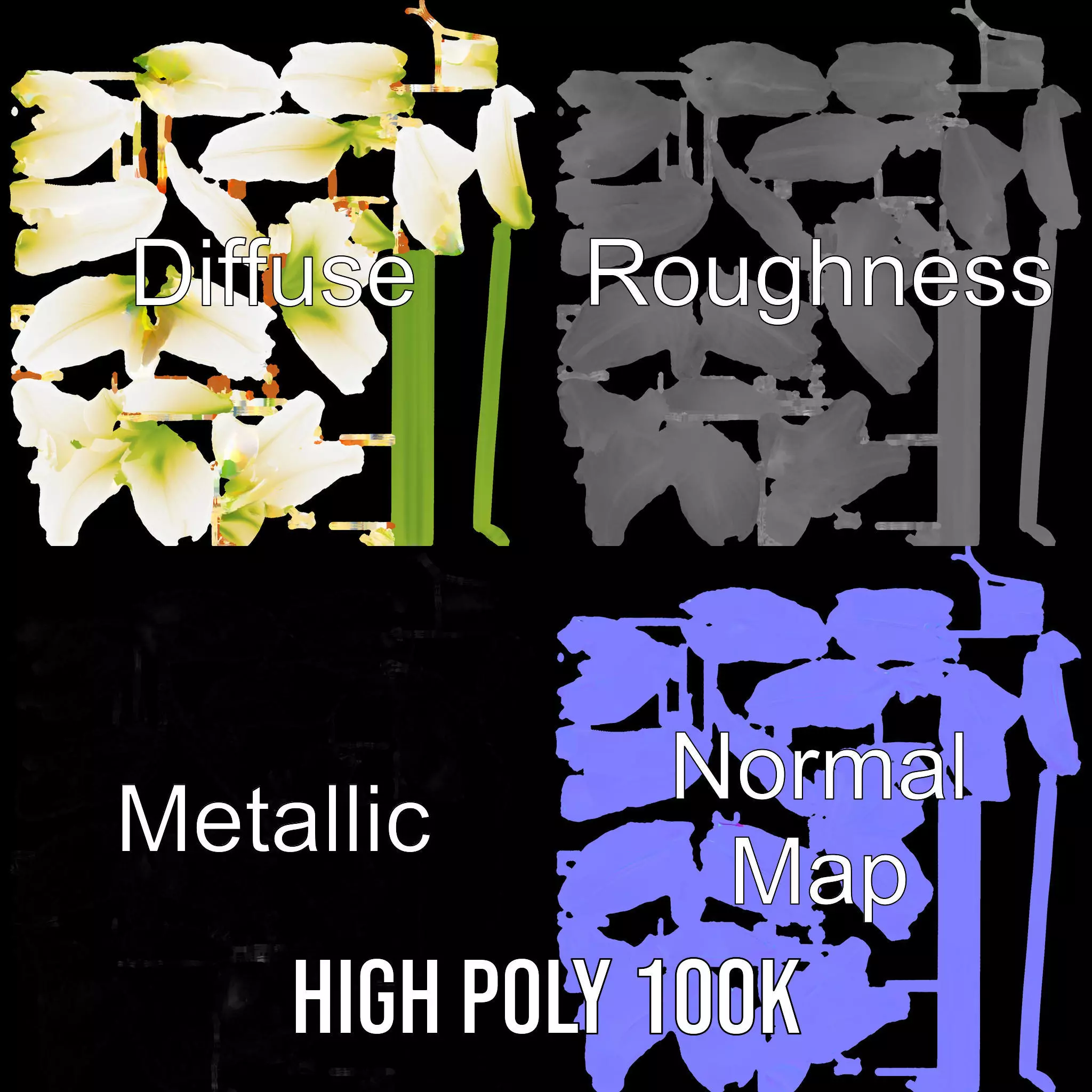 Elegant White Lily model pack Low-poly 3D model_4