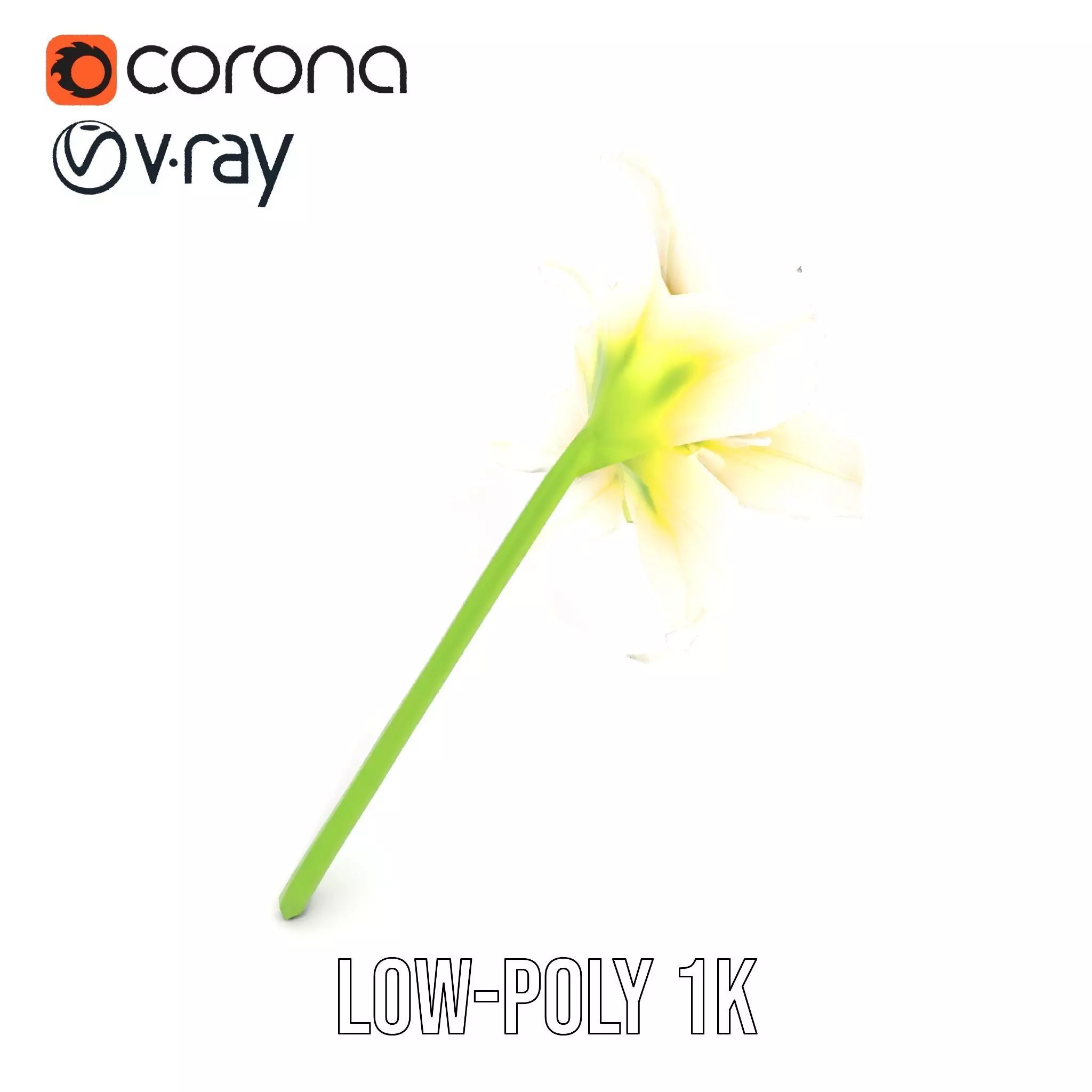 Elegant White Lily model pack Low-poly 3D model_18