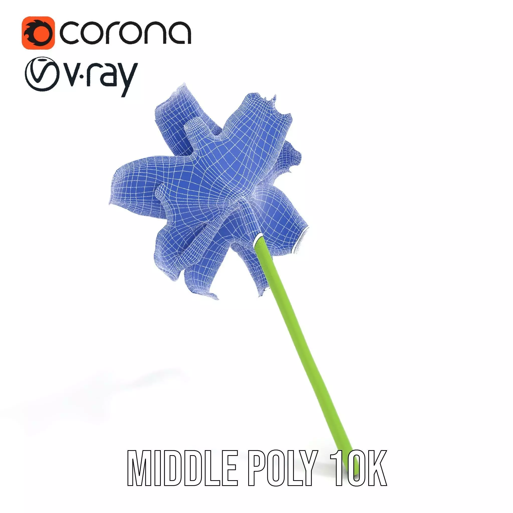 Elegant White Lily model pack Low-poly 3D model_17