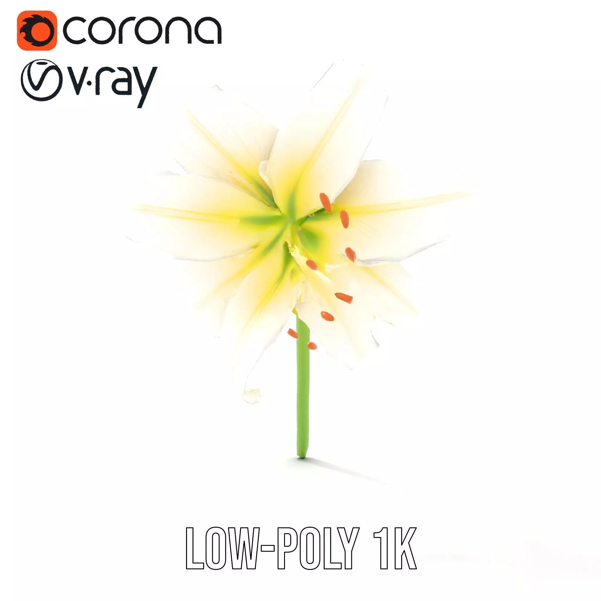 Elegant White Lily model pack Low-poly 3D model_8