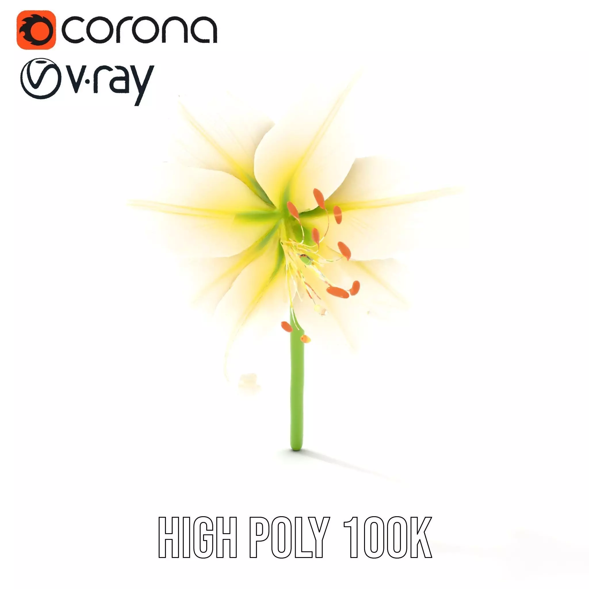 Elegant White Lily model pack Low-poly 3D model_21