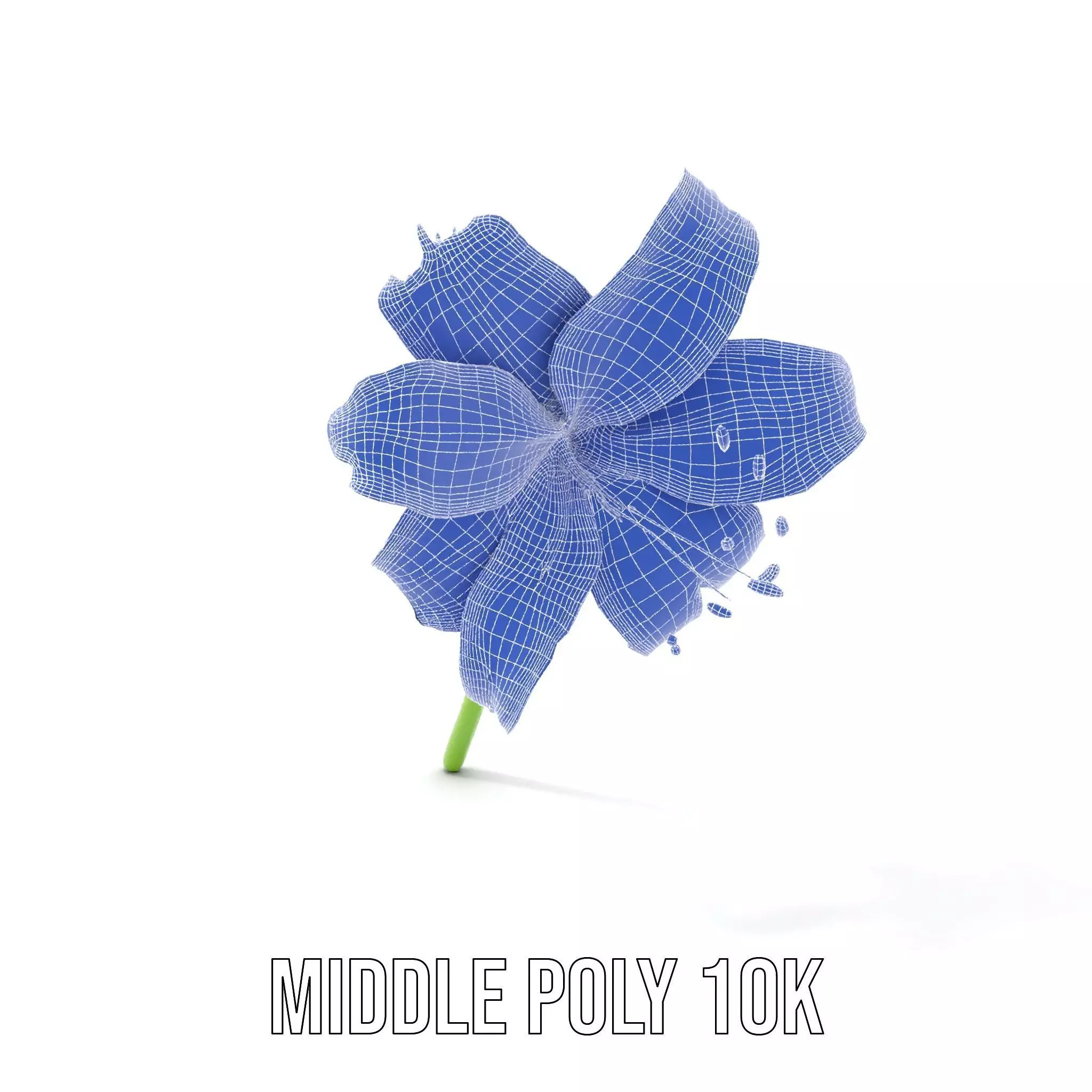 Elegant White Lily model pack Low-poly 3D model_22