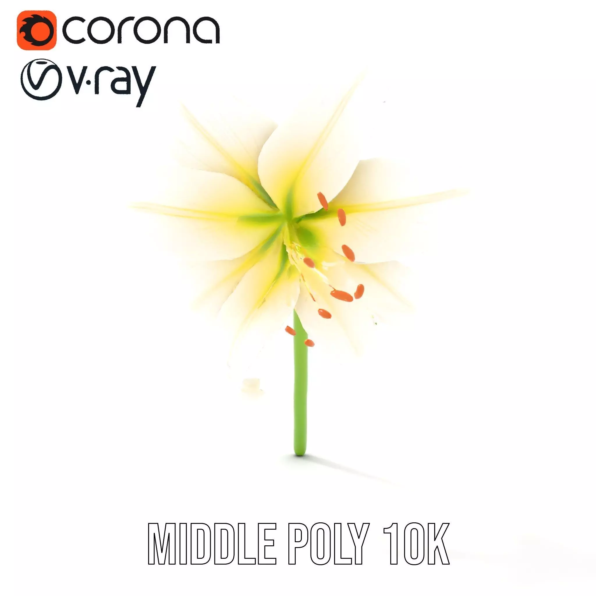 Elegant White Lily model pack Low-poly 3D model_19