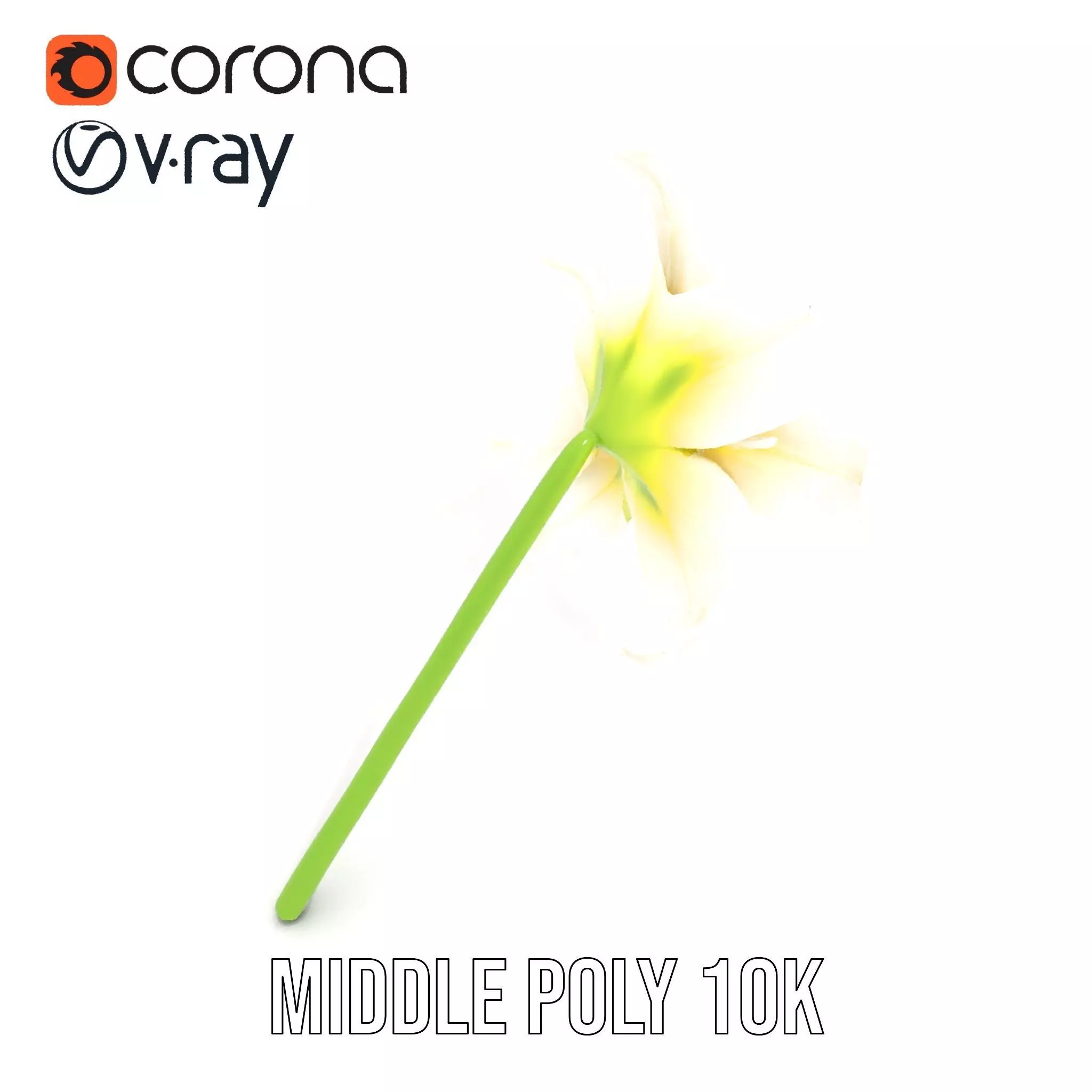 Elegant White Lily model pack Low-poly 3D model_12