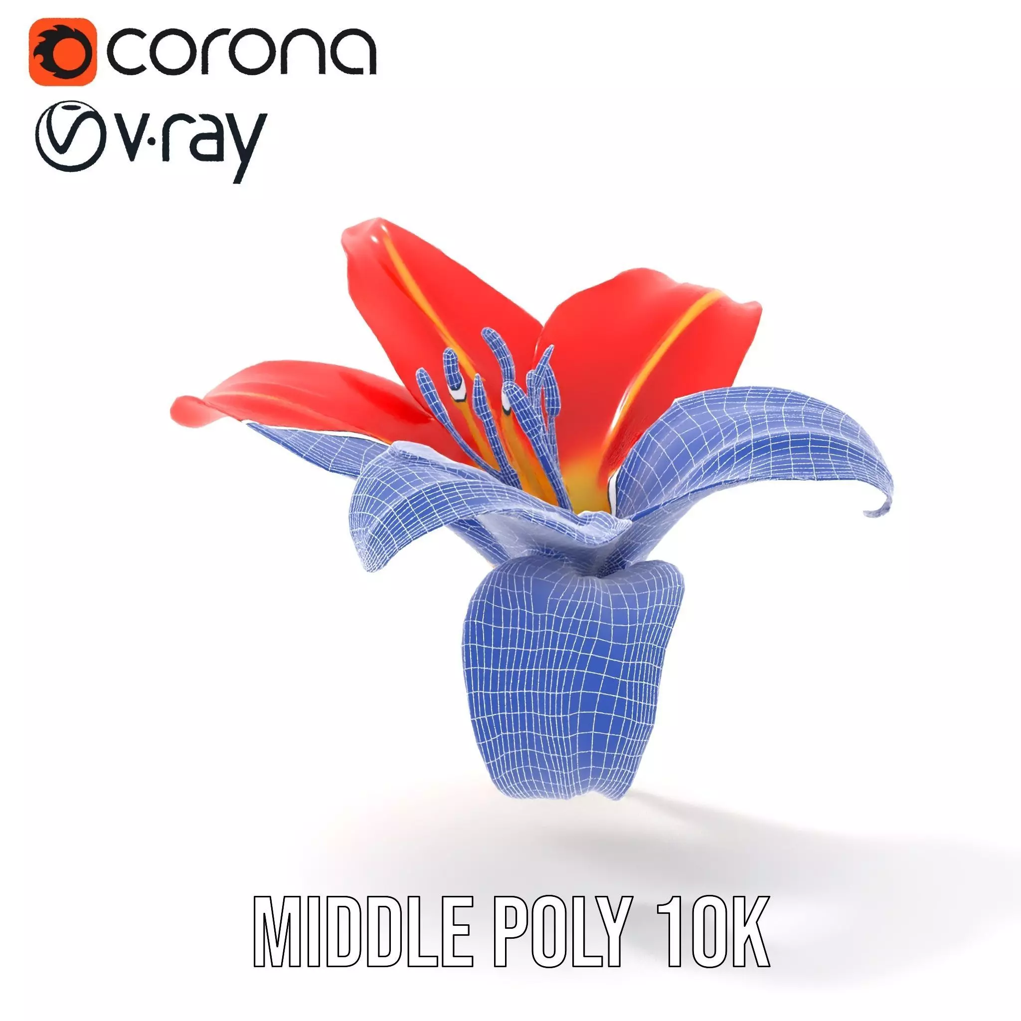 Radiant Red Lily model pack Low-poly 3D model_19